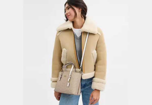 Mollie Tote Bag 25 In Signature Canvas