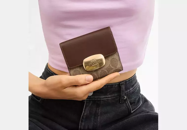 Eliza Small Wallet In Signature Canvas