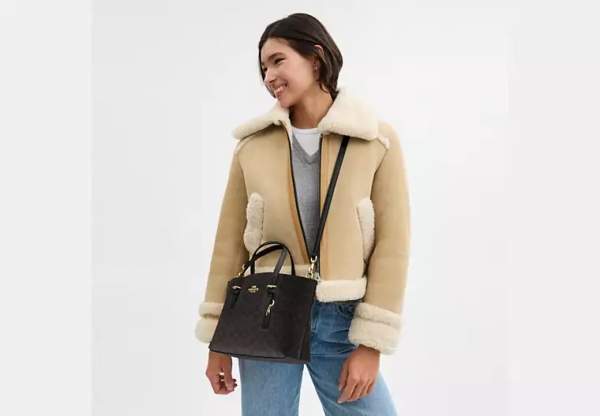 Mollie Tote Bag 25 In Signature Canvas