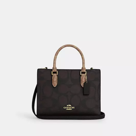 Maggie Small Tote Bag In Blocked Signature Canvas