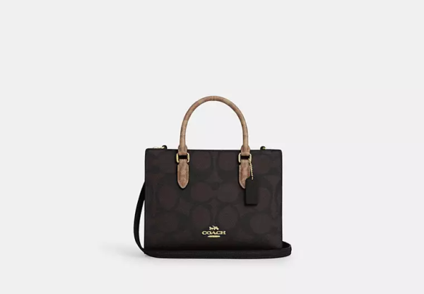 Maggie Small Tote Bag In Blocked Signature Canvas