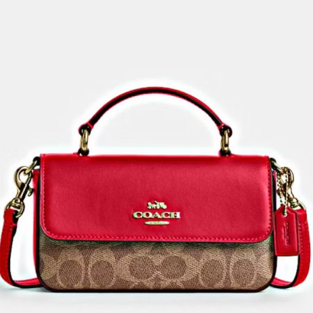 Mini top handle bag in signature canvas