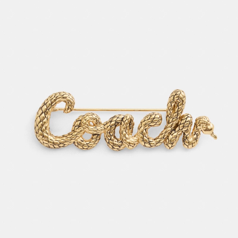 Coach Sun Brooch gold styled on hijab blazer tropical fabric Malaysia women