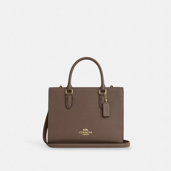 Coach Maggie Small Tote Bag Preorder