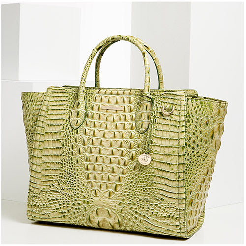 Brahmin Mona satchel tote spring 2026 leather unlined everyday bag