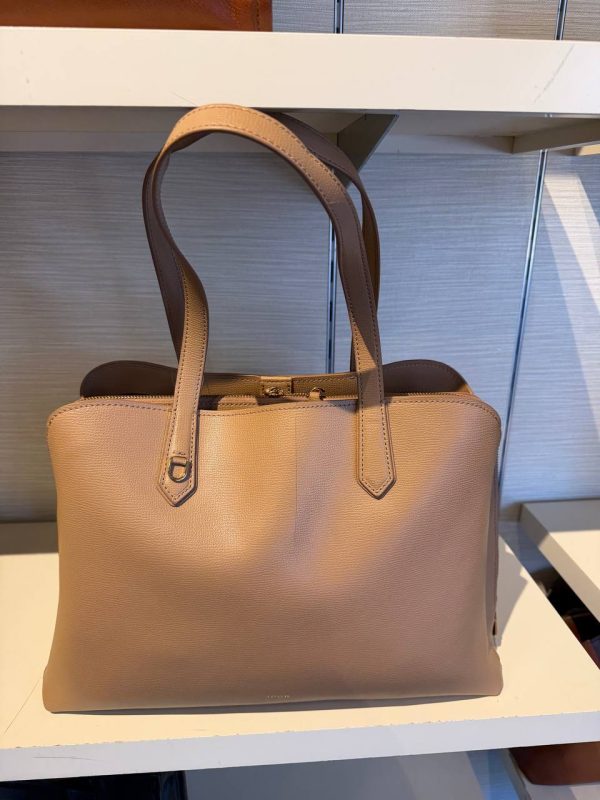 Fossil Wren Work Tote - Preorder