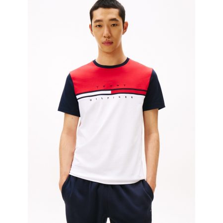 Tommy Hilfiger Colorblock Flag Stripe Logo T-Shirt in Colorblock Multi