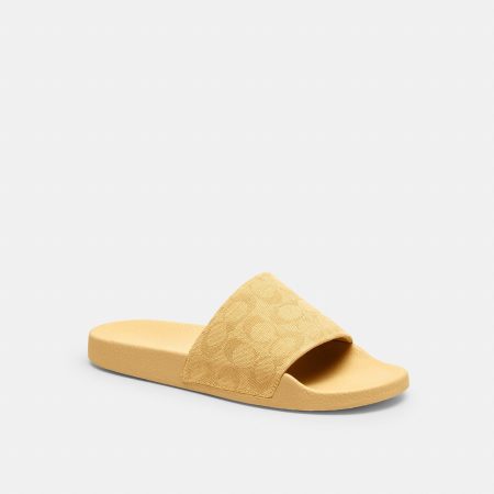 Vanilla / Size 7 B