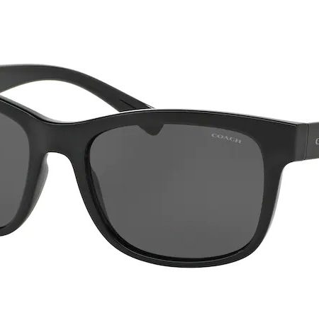 Coach HC8212 L1641 sunglasses in Black/Grey 500287