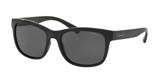 Coach HC8212 L1641 sunglasses in Black/Grey 500287