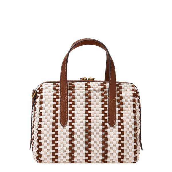 Fossil Sydney Satchel in Brown and White, rear view