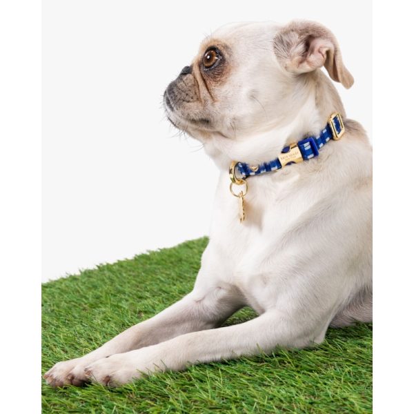 Kate Spade Navy Gingham Collar XS - Preorder