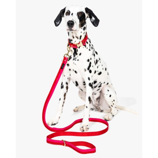 Kate Spade Colorblock Leash - Preorder