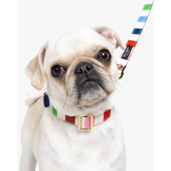 Kate Spade Adventure Stripe Collar S/M - Preorder