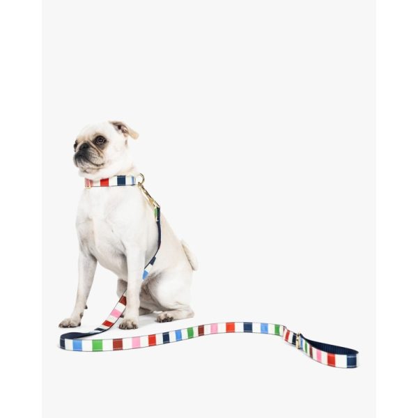 Kate Spade Adventure Stripe Leash S/M - Preorder