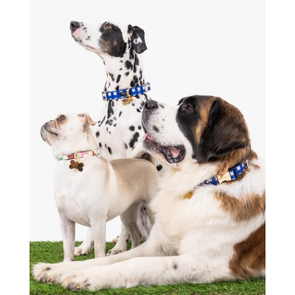 Kate Spade Navy Gingham Collar S/M - Preorder