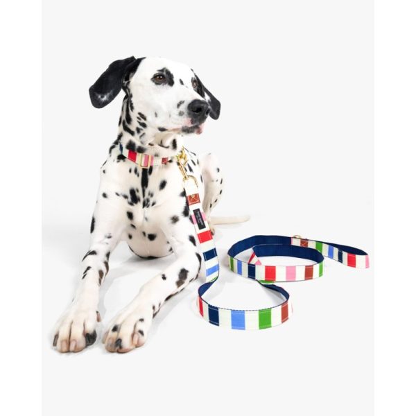Kate Spade Adventure Stripe Leash M/L - Preorder