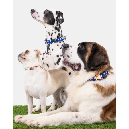 Kate Spade Navy Gingham Collar S/M - Preorder