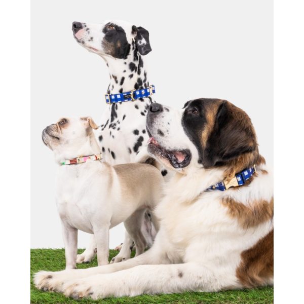Kate Spade Navy Gingham Collar S/M - Preorder