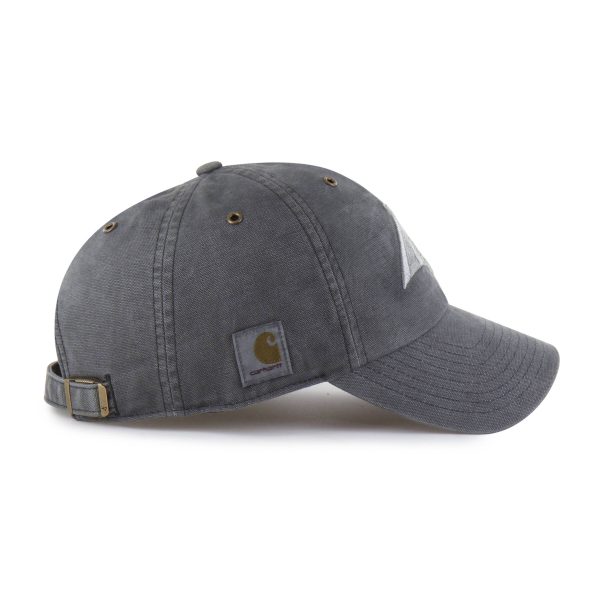 Carhartt Carolina Panthers '47 Dyed Clean Up