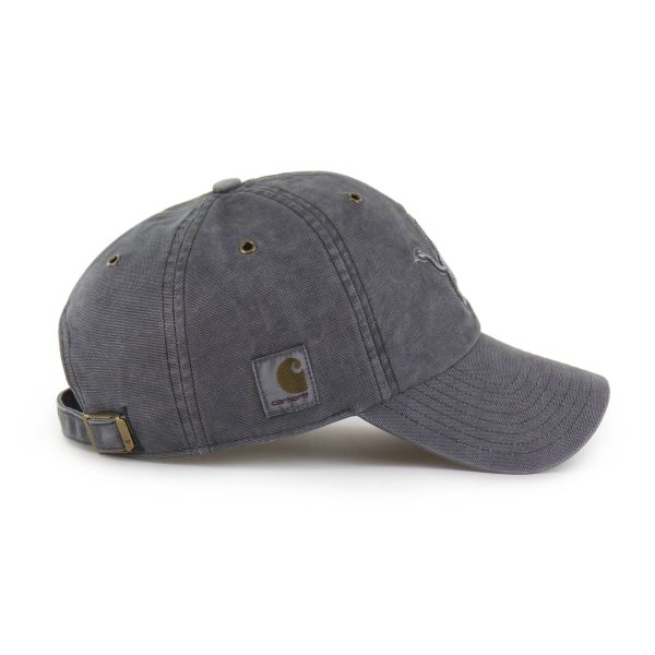 Carhartt Detroit Lions '47 Dyed Clean Up