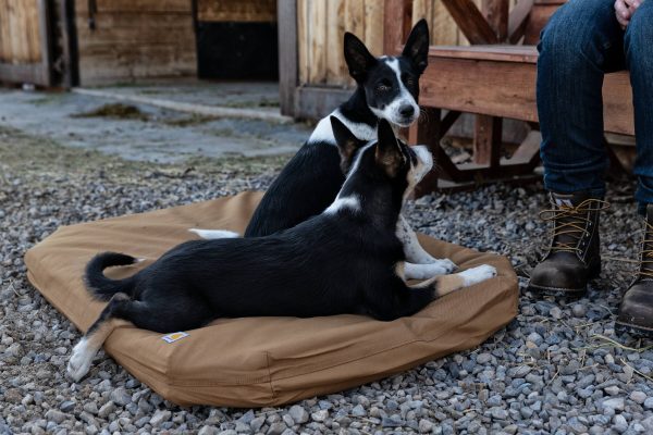 Carhartt Field Dog Bed