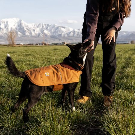 Carhartt Firm Duck Insulated Dog Chore Coat
