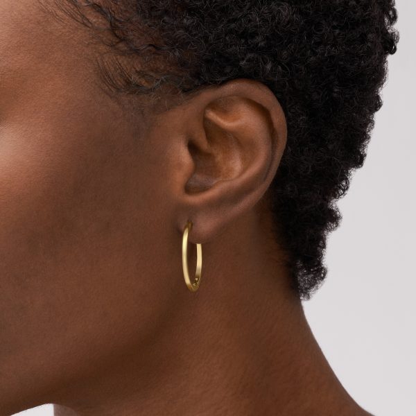Fossil Ellis Essentials Gold-Tone Stainless Steel Hoop Earrings - Preorder