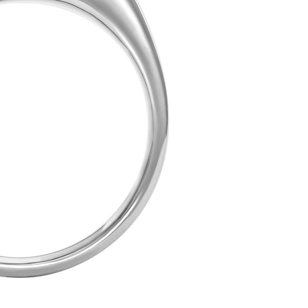 Fossil Ellis Signet Collection Brown Tiger's Eye Signet Ring - Preorder