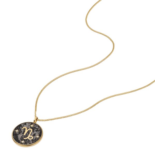 Fossil Capricorn Sutton Zodiac Gold-Tone Stainless Steel Gray Hematite Pendant Necklace - Preorder
