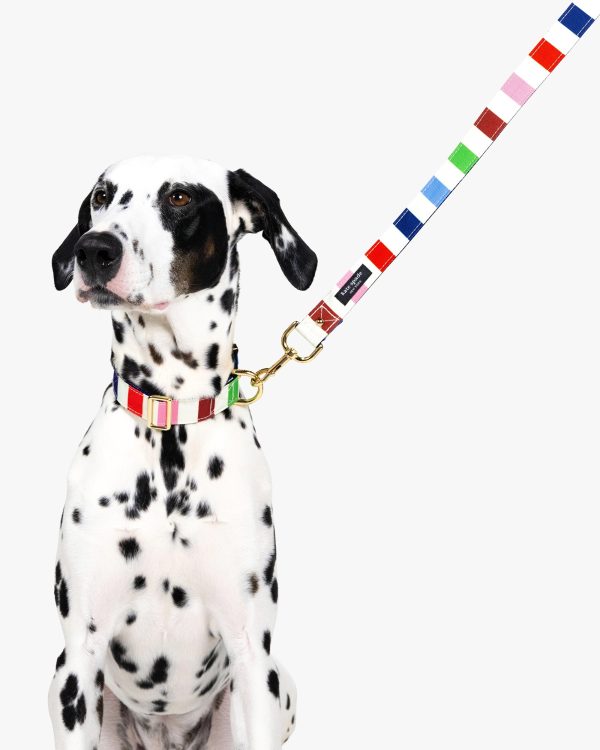 Kate Spade Adventure Stripe Collar M/L