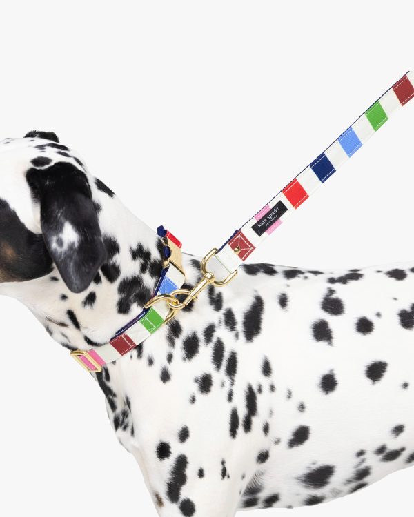 Kate Spade Adventure Stripe Collar M/L