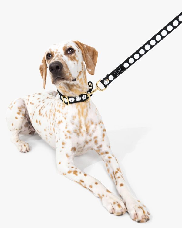 Kate Spade Art Dot Collar M/L