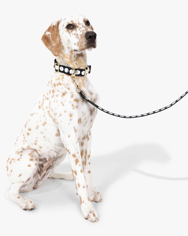Kate Spade Art Dot Collar M/L