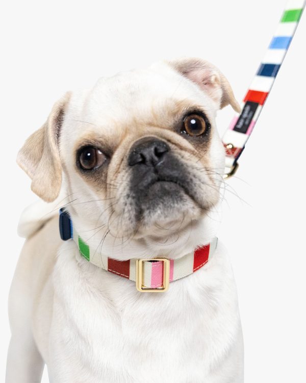 Kate Spade Adventure Stripe Collar S/M
