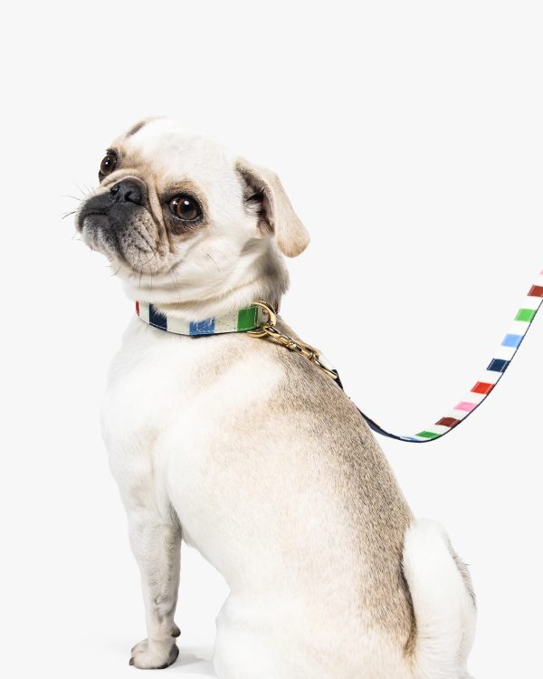 Kate Spade Adventure Stripe Collar S/M