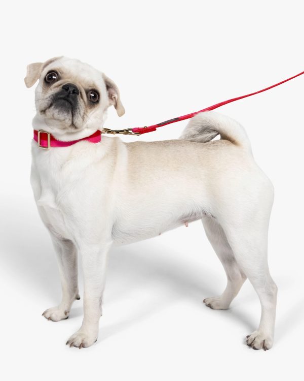 Kate Spade Colorblock Collar