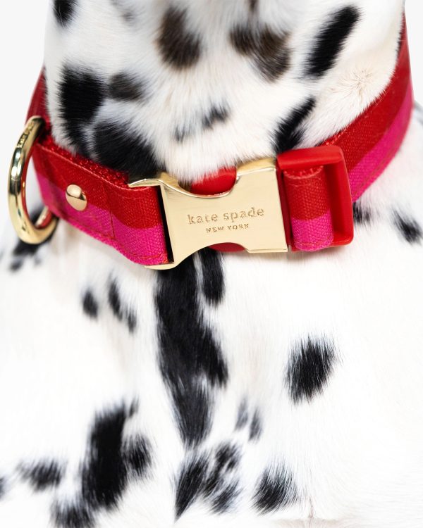 Kate Spade Colorblock Collar