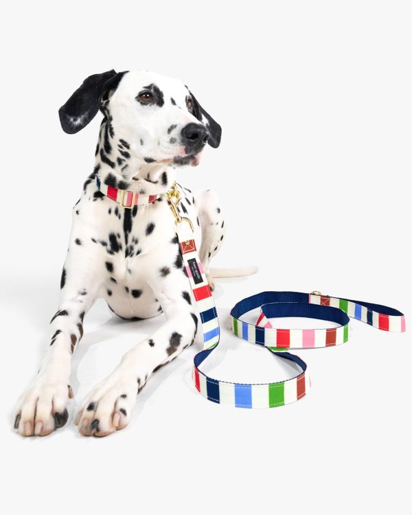 Kate Spade Adventure Stripe Leash M/L
