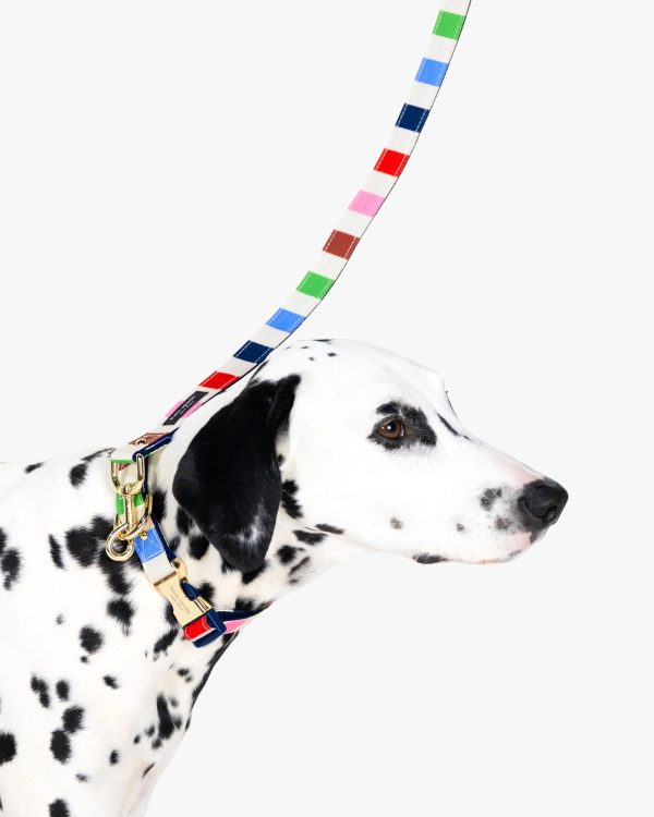 Kate Spade Adventure Stripe Leash M/L
