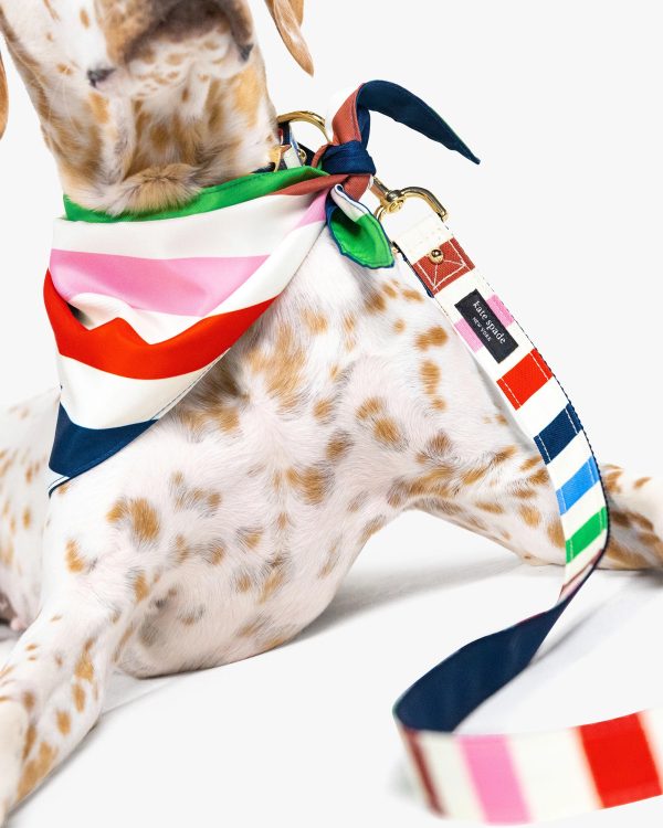 Kate Spade Adventure Stripe Leash M/L