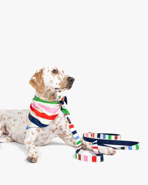 Kate Spade Adventure Stripe Leash M/L