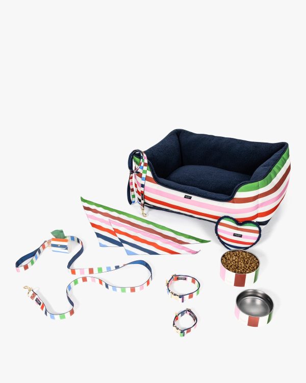 Kate Spade Adventure Stripe Leash M/L