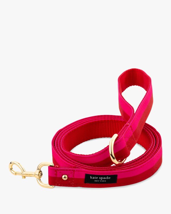 Kate Spade Colorblock Leash