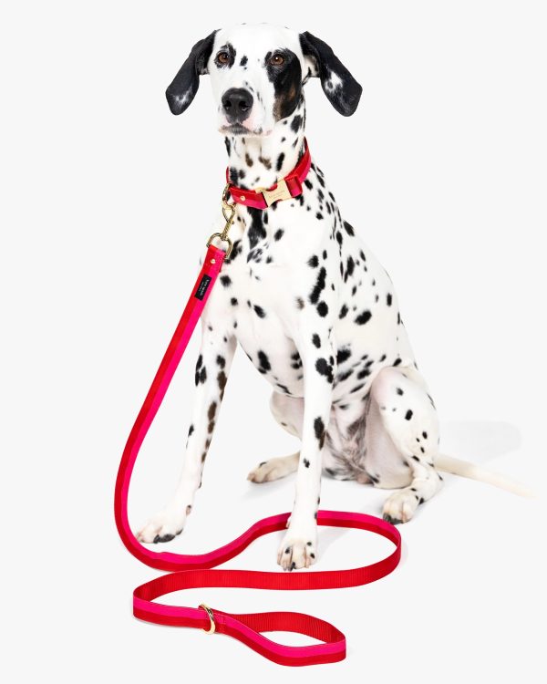 Kate Spade Colorblock Leash