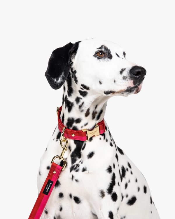 Kate Spade Colorblock Leash