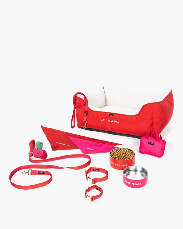 Kate Spade Colorblock Leash