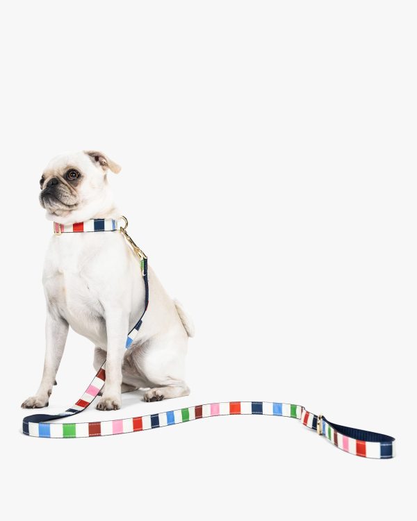 Kate Spade Adventure Stripe Leash S/M