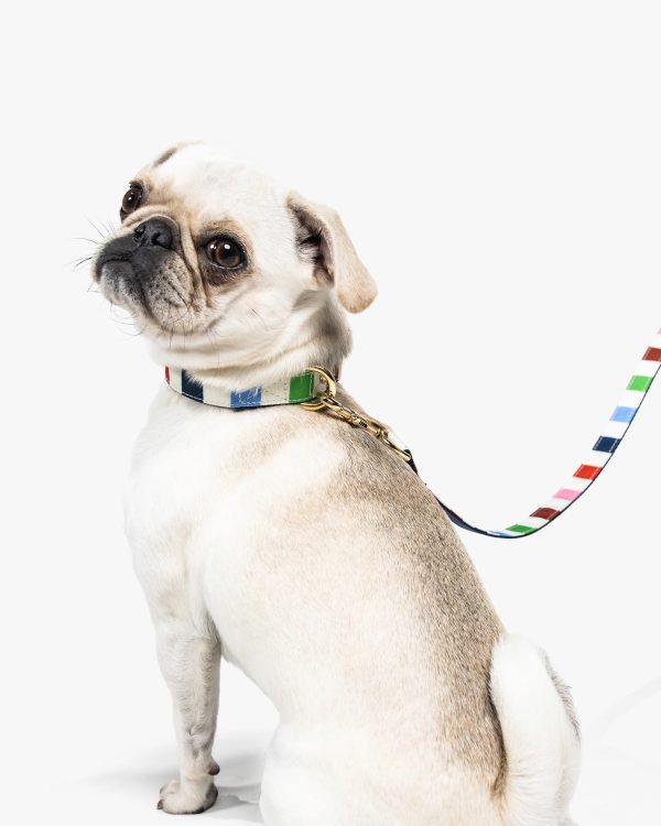 Kate Spade Adventure Stripe Leash S/M