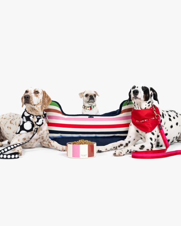 Kate Spade Adventure Stripe Pet Bed